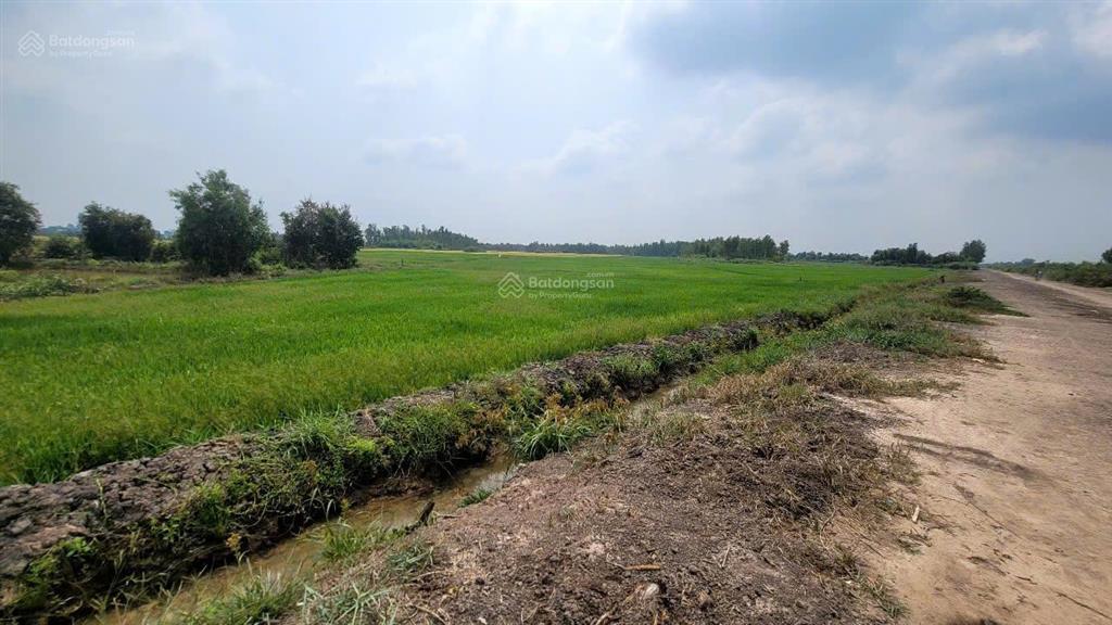 Bán nhanh lô đất mt đường kênh xe tải, dt 2.562m2, đất vườn, xã tân thông hội