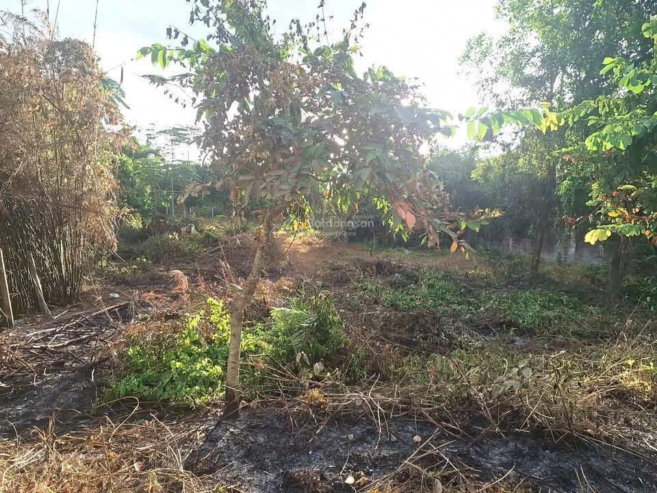 Bán gấp lô đất mt đường bà thiên, dt 1.000m, có 300m thổ, xã nhuận đức