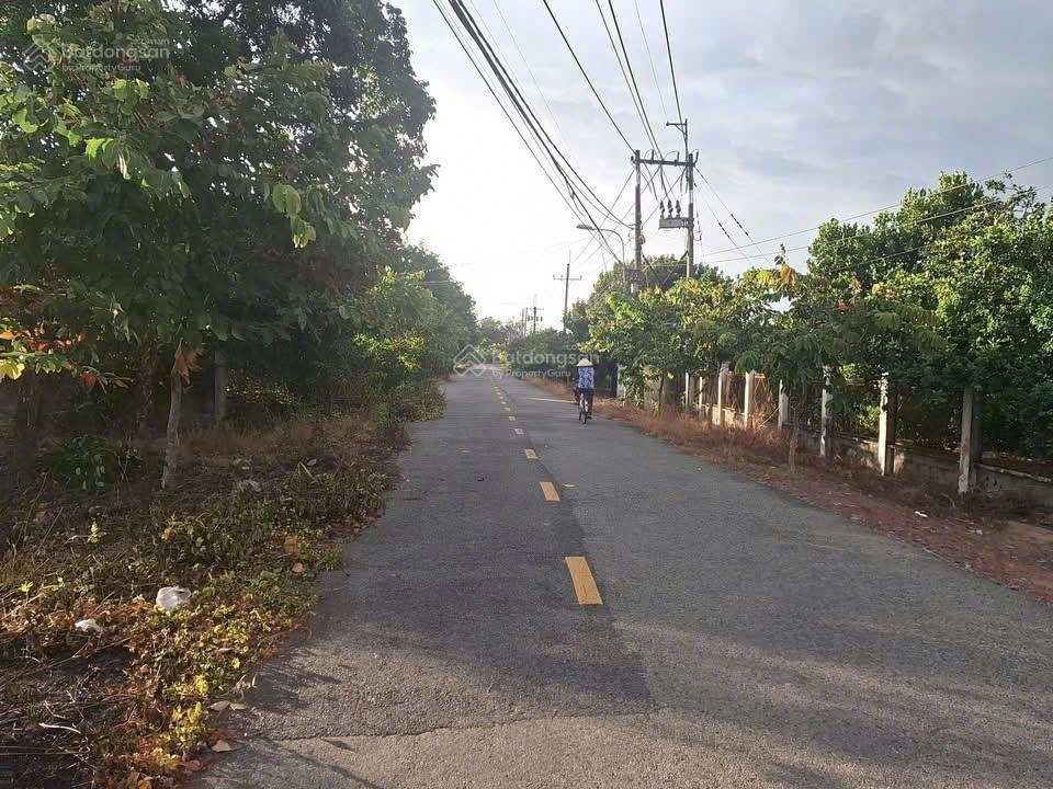 Bán gấp lô đất mt đường bà thiên, dt 1.000m, có 300m thổ, xã nhuận đức