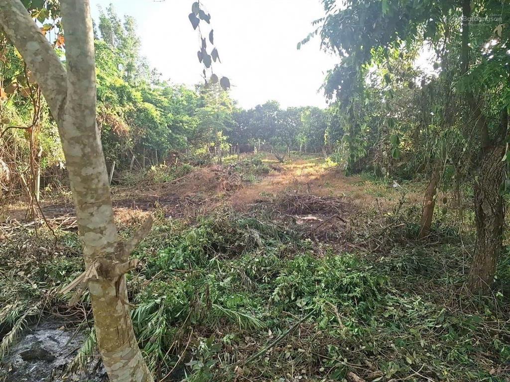 Bán gấp lô đất mt đường bà thiên, dt 1.000m, có 300m thổ, xã nhuận đức
