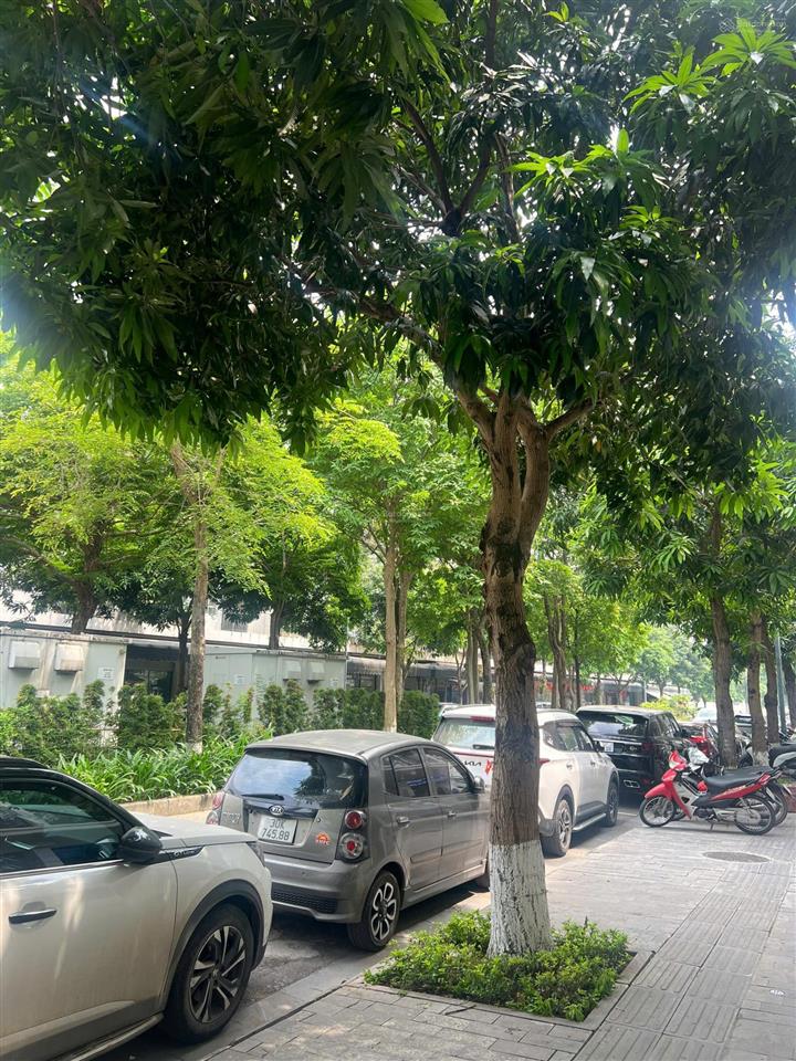 Chính chủ cho thuê mặt bằng tầng 1 làm văn phòng hoặc ở