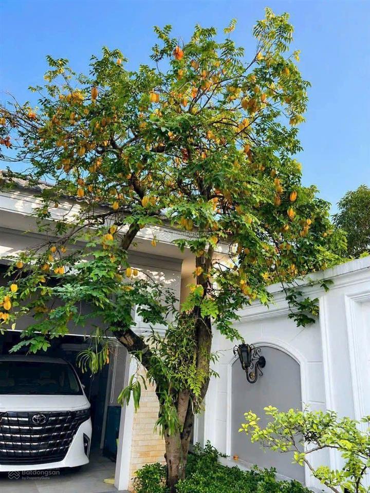 Bán biệt thự phường chợ lớn q5 dt 8m x 13m 1 hầm 1 lửng 3 lầu 1 sân thượng 1 thang máy giá 11 tỷ
