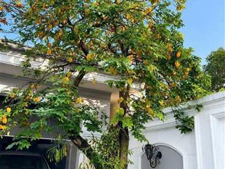 Bán biệt thự phường chợ lớn q5 dt 8m x 13m 1 hầm 1 lửng 3 lầu 1 sân thượng 1 thang máy giá 11 tỷ