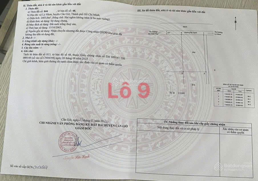 Đất mặt tiền gần vinhome cần giờ, đường xương cá (lý nhơn  dương vạn hạnh)
