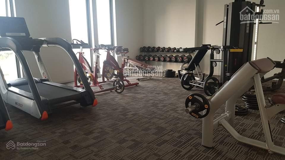 Căn hộ chung cư dvela  an phú long, 55m2 (2pn) 2.25 tỉ (100%)