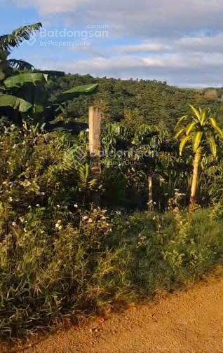 Chính chủ bán 3.300m² đất b lá gần eco tropicana  200m² thổ cư  view suối