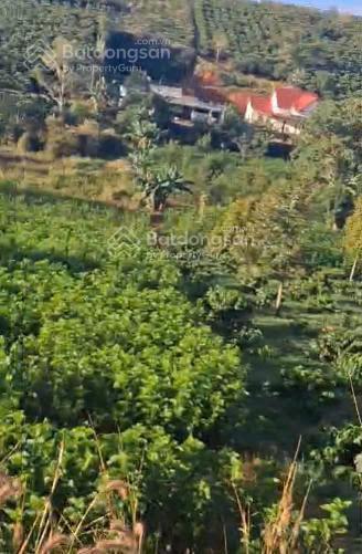 Chính chủ bán 3.300m² đất b lá gần eco tropicana  200m² thổ cư  view suối