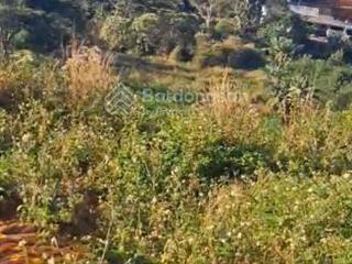 Chính chủ bán 3.300m² đất b lá gần eco tropicana  200m² thổ cư  view suối