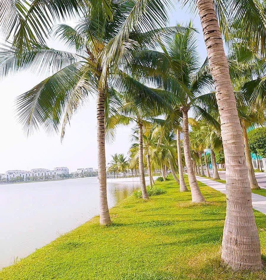 Bán biệt thự đơn lập ngọc trai 1 trực diện biển hồ 24,5ha. vị trí đẹp nhất dự án. bán giá thiện chí