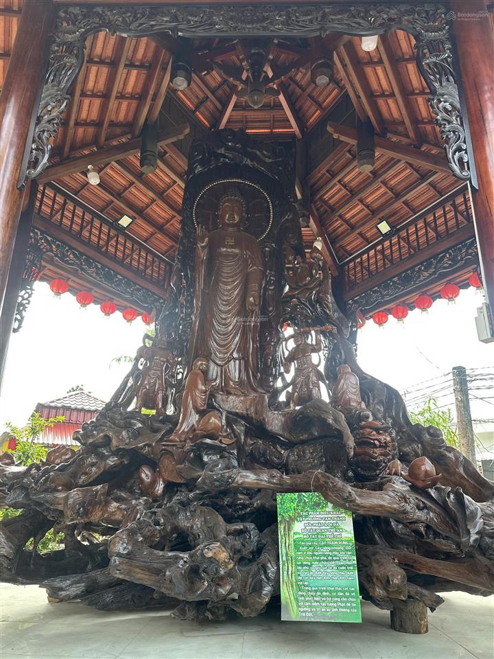Bán nhà mặt tiền chợ bông vang