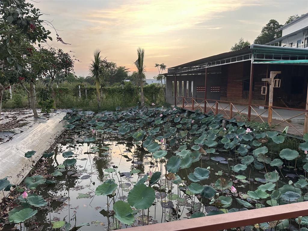 Đất mặt tiền đường nguyễn văn trường tiện kinh doanh mua bán hoặc xây trọ