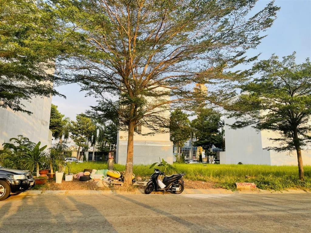 Chuyên bán đất nền everrich 3 sunshine city q7, dt 8x18m, xd 4 tầng, giá 20 tỷ
