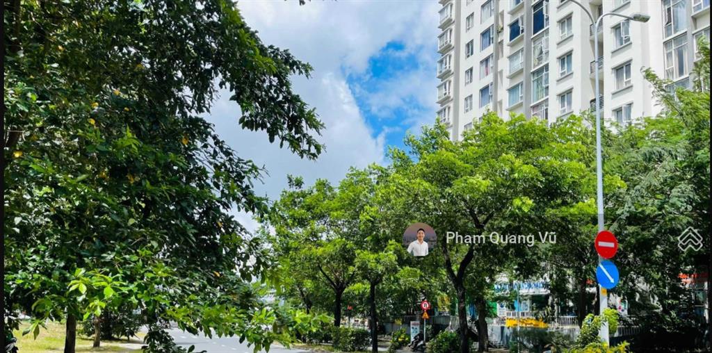 Chuyên bán nhà phố biệt thự kdc phú mỹ vph q7, dt 6x21m, 10,5x21m, 5 tầng, giá tốt 18 tỷ/căn