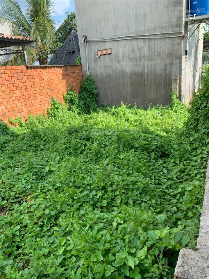 Chính chủ bán lô đất đường gò hưu, mỹ hạnh nam thổ cư 202m2, xe hơi vào tận đất, dân cư đông đúc