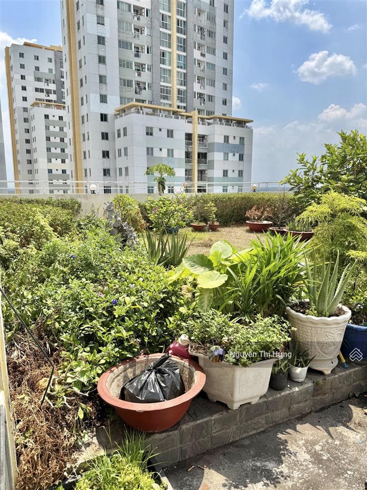 Bán căn hộ belleza q7  78,8m2, 2pn + tặng nt, sân vườn chung + view sông  giá 3.8 tỷ
