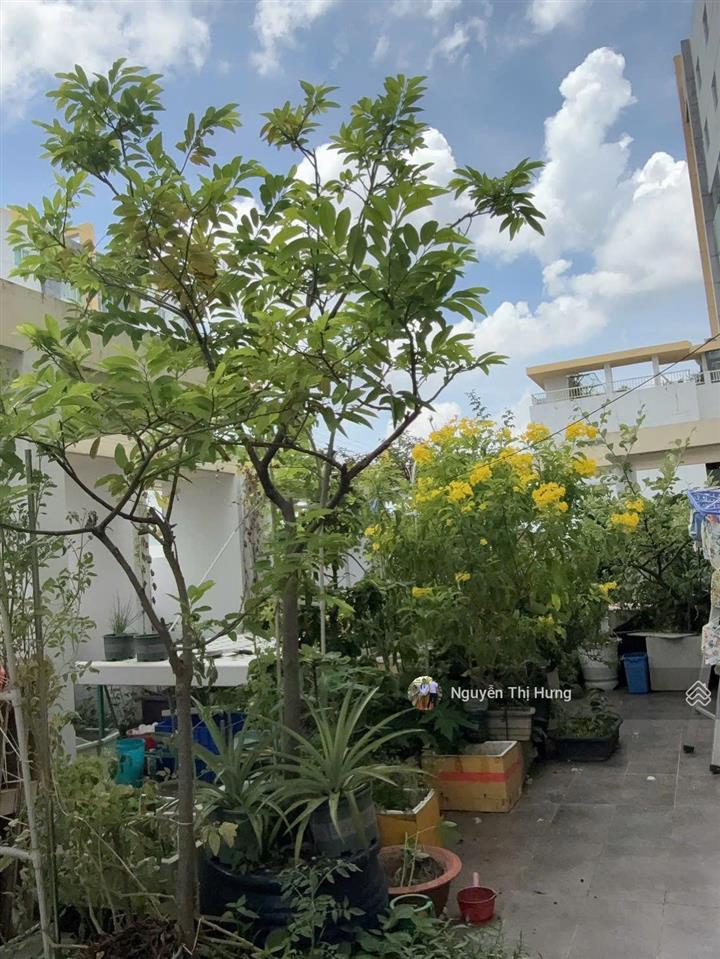 Bán ch sân vườn belleza q7116m2,3pn+sân vườn rộng 150m2+sổ hồnggiá bán nhanh  6.7 tỷ ( cực tốt)