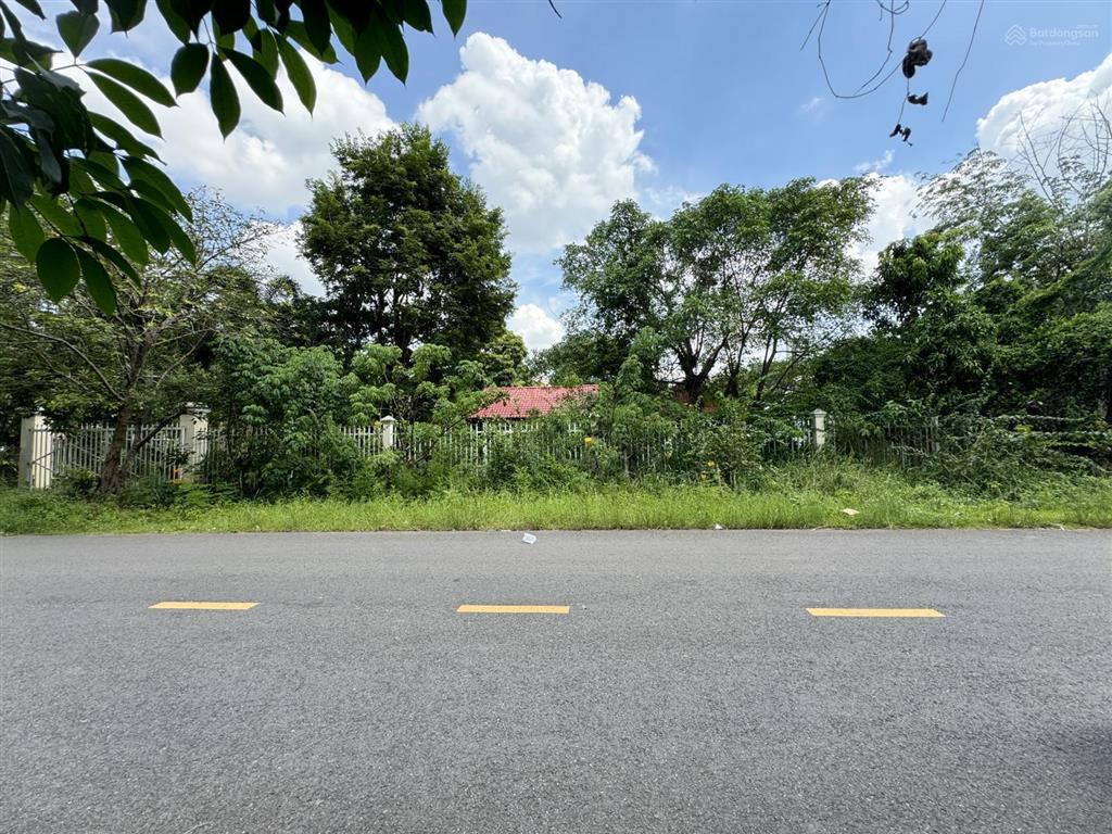 Bán đất + nhà vườn cấp 4 rộng 1.538m2 tại phường bến cát, hồ chí minh