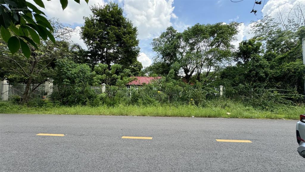 Bán đất + nhà vườn cấp 4 rộng 1.538m2 tại phường bến cát, hồ chí minh
