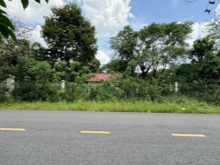 Bán đất + nhà vườn cấp 4 rộng 1.538m2 tại phường bến cát, hồ chí minh
