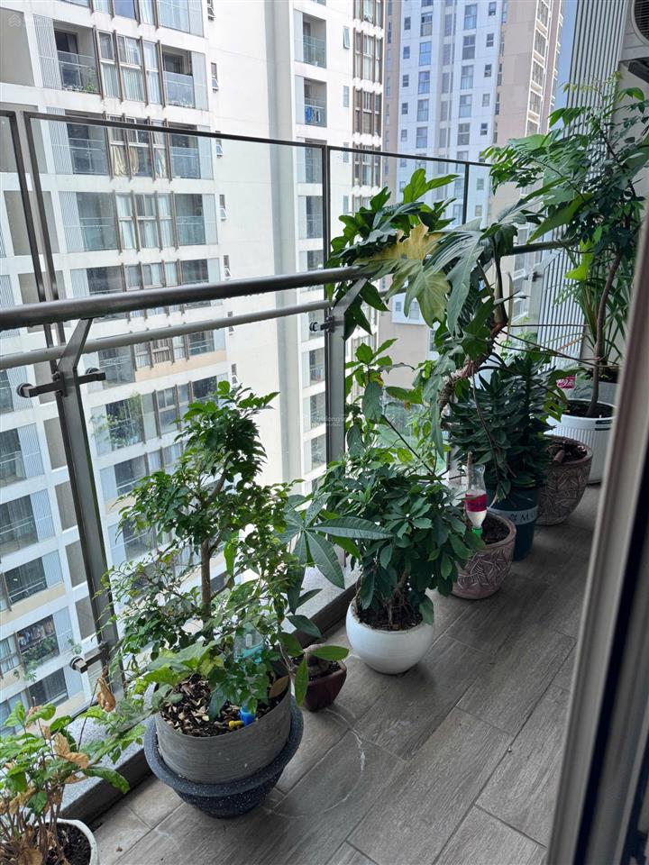Cho thuê gấp ch 3pn, 123m2, midtown phú mỹ hưng, 43 triệu vnd