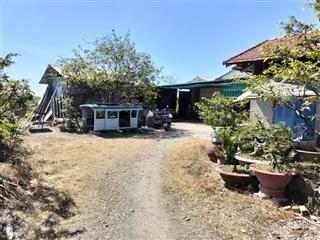 Bán nhà riêng và nhà xưởng, dt 1200m2, mặt tiền đinh viết cừu, p.tân an, tây ninh.  0901 364 ***