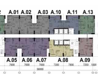 Bán cc mường thanh phú hữu, 2,515 tỷ, 56m2, siêu hot chỉ với giá này chênh hợp lý rỗ hàng đa dạng