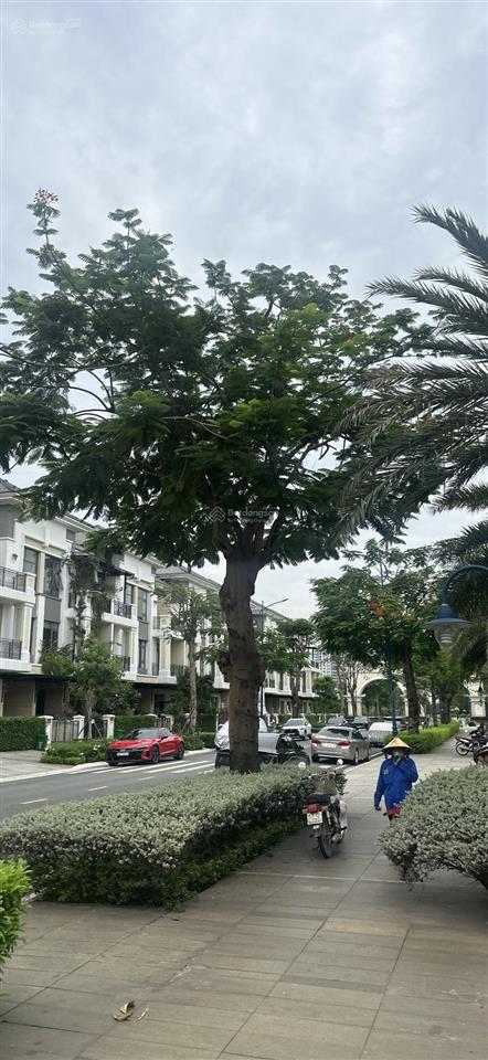 Kẹt tiền bán nhanh căn liên kế 7.5x18 thiết kế trệt 3 lầu rất thoáng giá 20 tỷ tluong.
