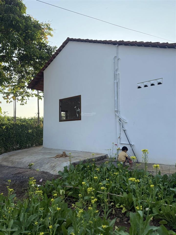 Bán nền đất 400m2, sổ hồng riêng tại xã long tân, đất đỏ giá 3,33 tỷ  0908 155 ***