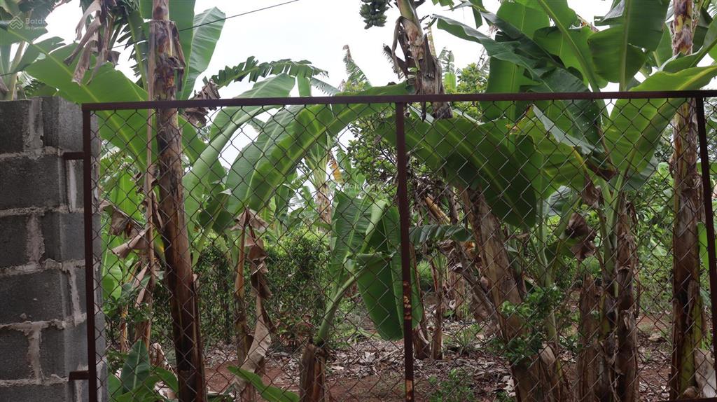 Bán nền đất 400m2, sổ hồng riêng tại xã long tân, đất đỏ giá 3,33 tỷ  0908 155 ***