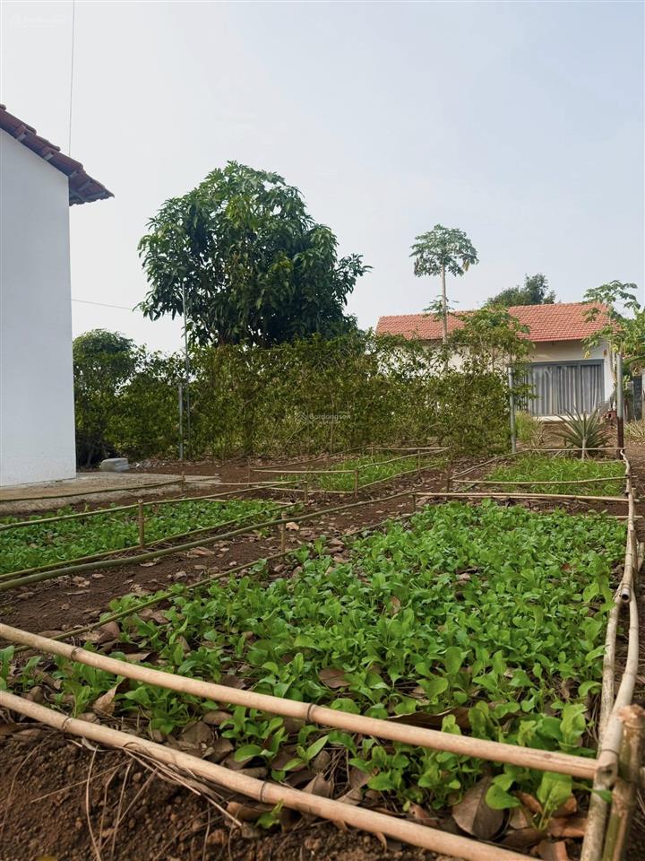 Bán nền đất 400m2, sổ hồng riêng tại xã long tân, đất đỏ giá 3,33 tỷ  0908 155 ***