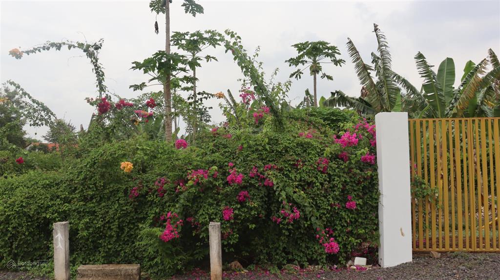 Bán nền đất 400m2, sổ hồng riêng tại xã long tân, đất đỏ giá 3,33 tỷ  0908 155 ***