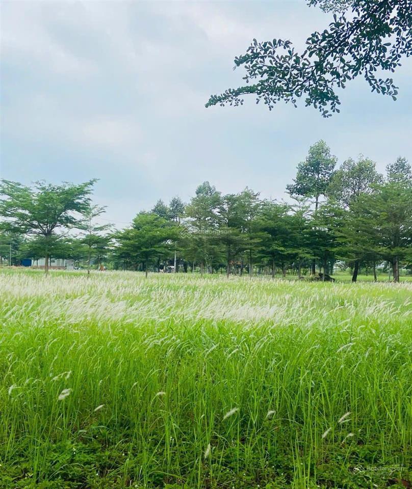 Bán căn hộ 1pn chung cư conic garden, nhà mới đẹp, thoáng mát  0908 155 ***