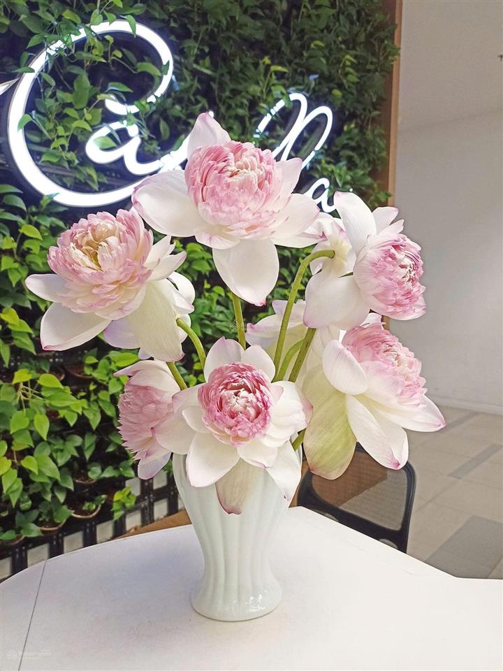 Cho thuê căn hộ de capella 116 lương định của, phường an khánh, hồ chí minh (quận 2),  0908 155 ***