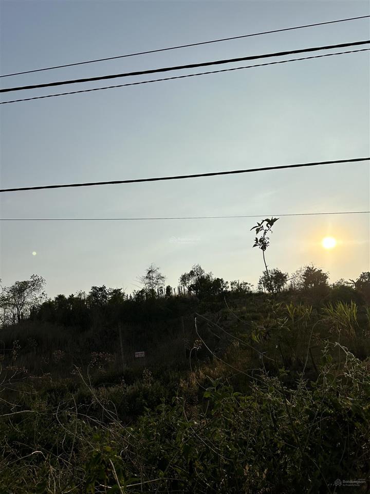 Cần bán đất thôn 10 xã trúc sơn cư jut gần bệnh viện xuyên á . dt 4000m2 giá 3,1 tỷ lên dc thổ cư