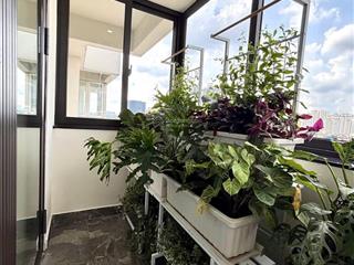 Cần tiền bán gấp căn hộ mỹ khánh 2, phú mỹ hưng, dt 113m2, 3pn, 2wc, giá 7.9 tỷ,  0917 479 ***