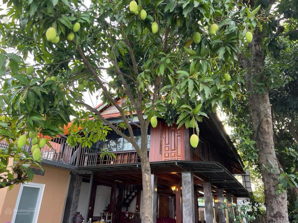 Bán nhà vườn ven sông 277m², 2 tầng, kiến trúc gỗ ngay xã nhơn đức, huyện nhà bè