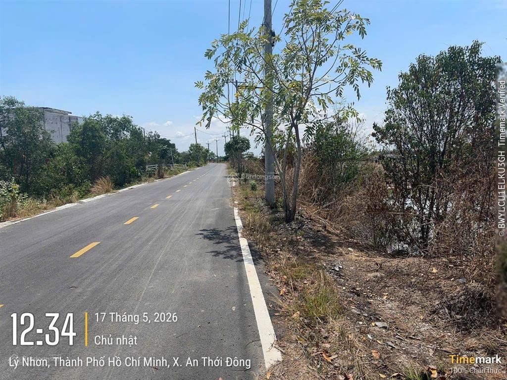 Cần bán gấp 10.000m2 đất tcln tại xã lý nhơn, cần giờ