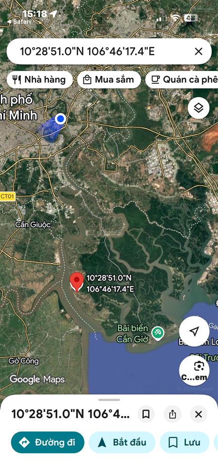 Cần bán gấp 10.000m2 đất tcln tại xã lý nhơn, cần giờ