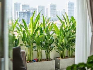 Bán căn hộ grand view  phú mỹ hưng  view quận 1  tầng cao  nhà decor mới