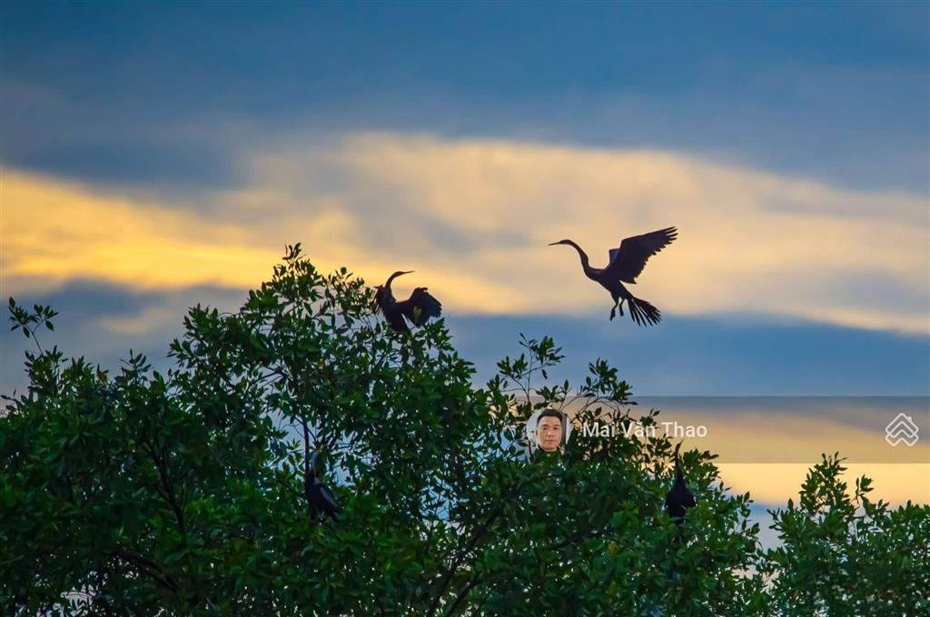 Chủ nhà giảm 3 tỷ bán căn penthouse park view, nguyễn đức cảnh, phú mỹ hưng, tp hồ chí minh.