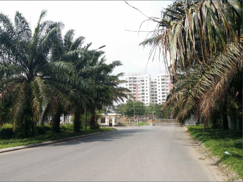 Bán đất nền dự án tại kdc làng việt kiều phong phú 13e, giá ưu đãi chỉ với 9,5 tỷ, 242 m2