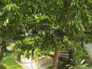 Cần cho thuê căn hưng vượng 2, 2pn 1wc giá 10tr/th , xem nhà gọi 0909 664 ***