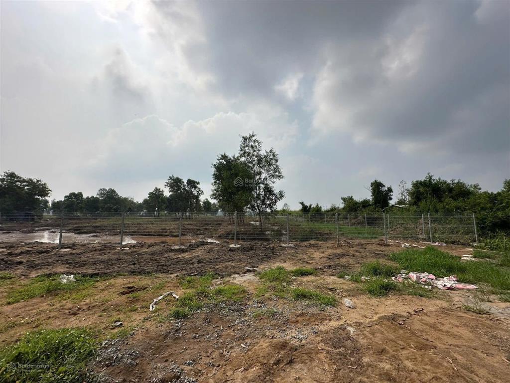 Bán đất mt sông  tam thôn hiệp cần giờ