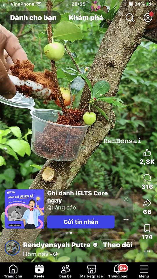 Bán nhà riêng, đường số 5a, 15,6 tỷ, 91,2 m2, q7, hcm