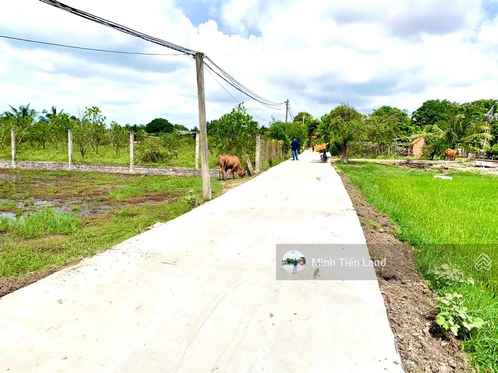 Bán đất quốc lộ 55, đối diện đường trần quang diệu vào bãi cam bình