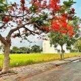 Chính chủ gửi bán lô khu a6 6x22m, 132m2 giá 53 triệu/m2 có sổ đỏ.  tuấn 0939 386 ***