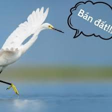 Bán đất đẹp 10,6 tỷ, 86m2 tại cao thị chính, q7, tp.hcm siêu hot