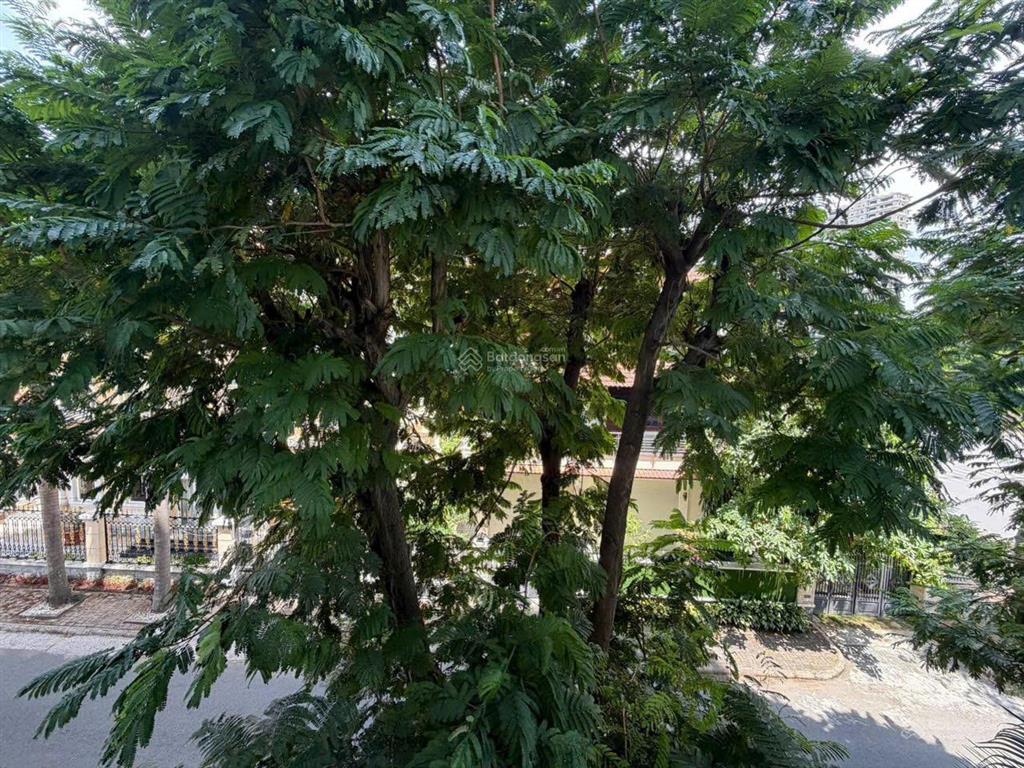 Gấp. chủ giảm giá bán gấp căn hộ mỹ khang, pmh, 124m2, căn góc, giảm còn 9,3 tỷ