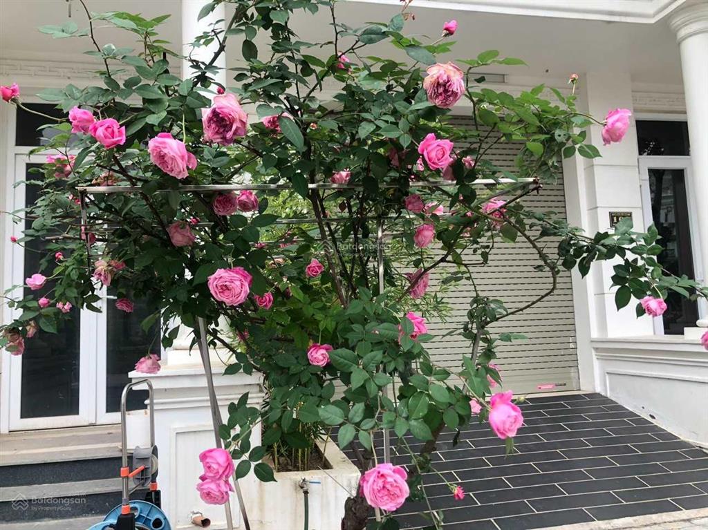 Bán gấp căn góc liền kề 176m² dự án louis đại mỗ. giá tốt trong thị trường.  0936 399 ***