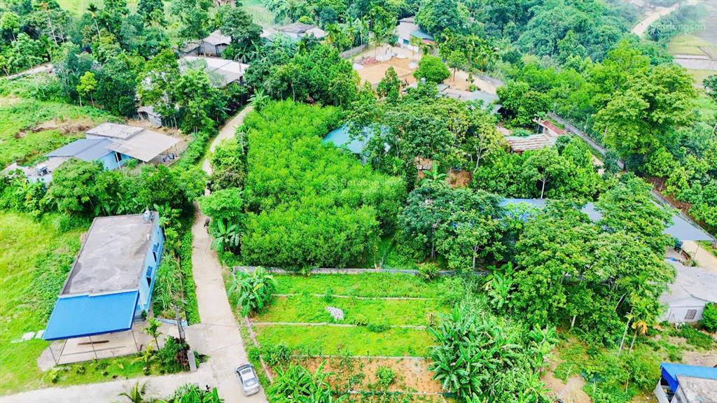 Bán đất phân lô 133m2 kim bôi, phú thọ, full thổ cư, sẵn sổ đỏ.  0388 405 ***